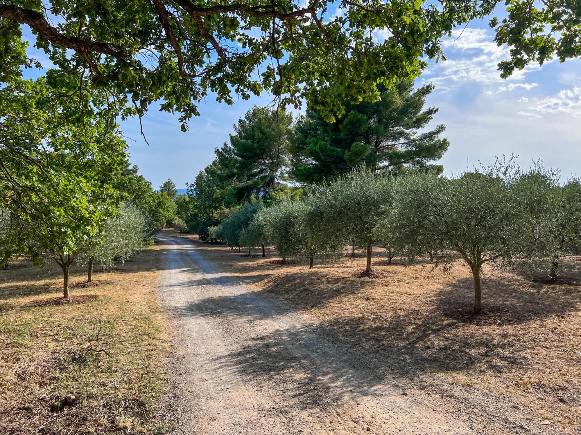 Villa "Le Sortilege" Vue Panoramique Et Piscine Tourtour Εξωτερικό φωτογραφία